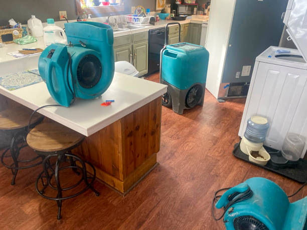 Best Basement water damage restoration  in White River Junction, VT