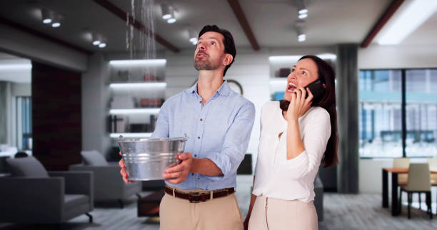 Best Residential water damage restoration  in White River Junction, VT